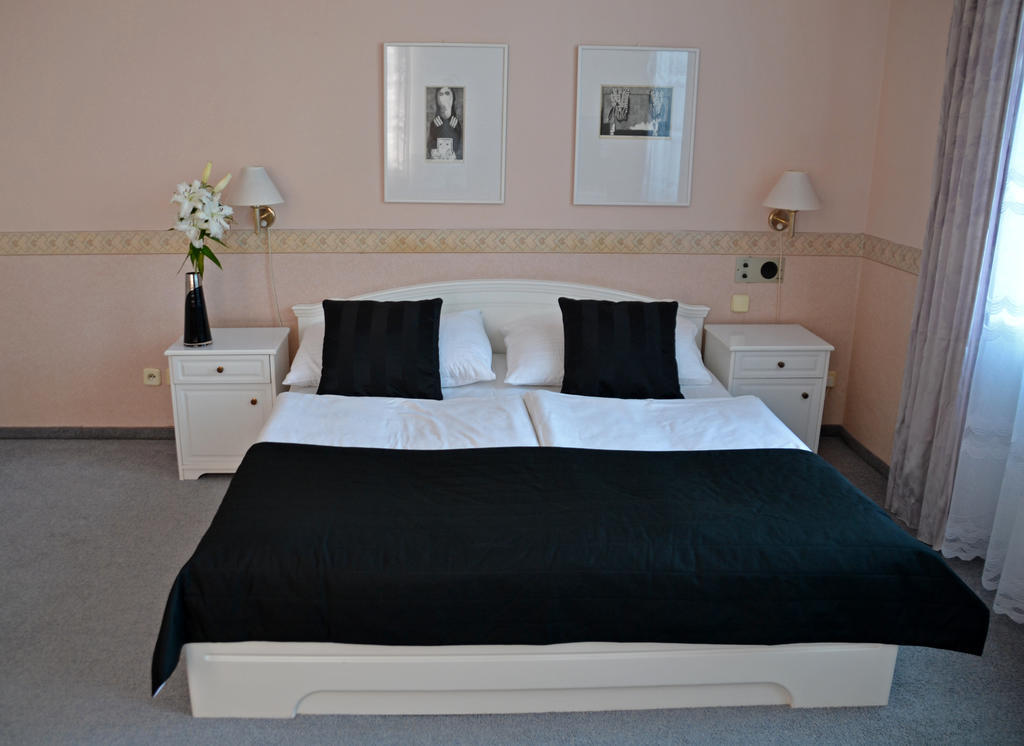 Hotel Havel Rychnov nad Kneznou Chambre photo